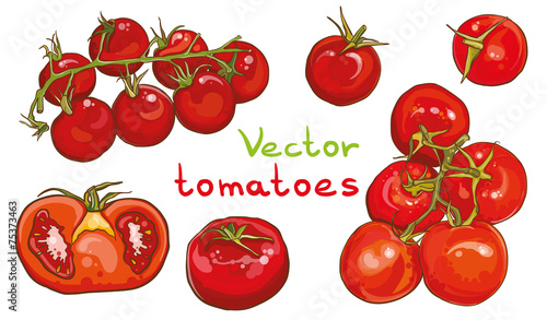Vector set. Illustration of cherry tomatoes and tomatoes.