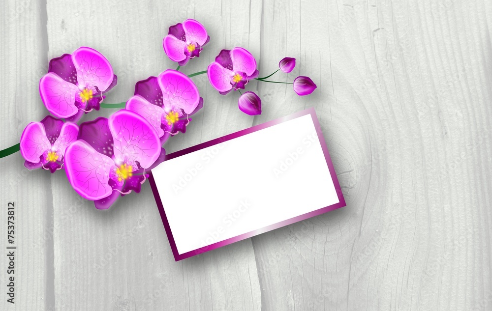 Pink orchid background Pink orchid background
