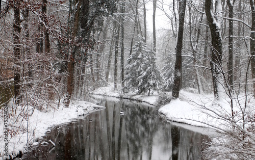 Winter in English Garden, Munich, Germany