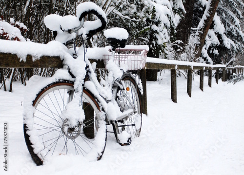 Winter in English Garden, Munich Germany