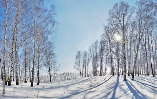 Beautiful winter landscape with bright sun and shadows © Alex_Po