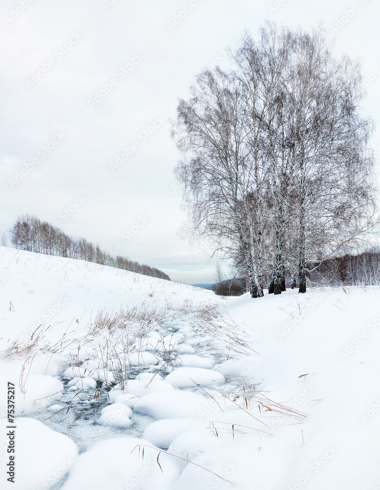 Winter landscape with a frozen creek and birches Winter landscape with a frozen creek and birches