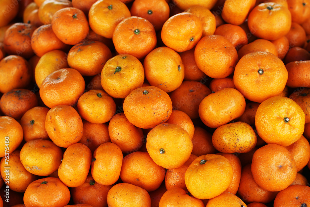 The orange fruits