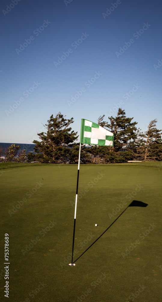 Obraz premium Golf flag