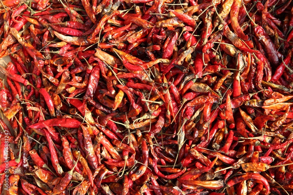 Chili peppers drying in sun in Bangkok