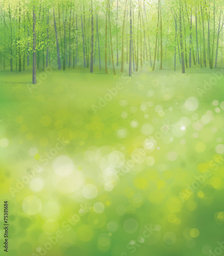 Vector spring  forest background.