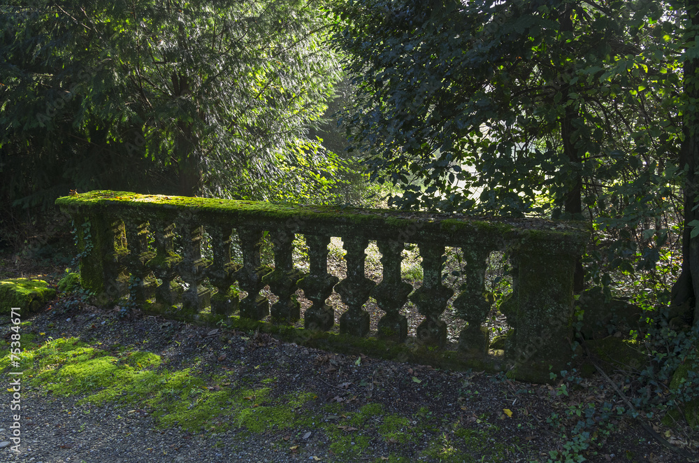 Moss-covered balustrade in the old park. Moss-covered balustrade in the old park.