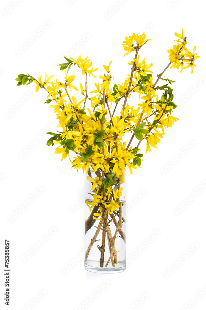 Obraz premium Springtime Bouquet