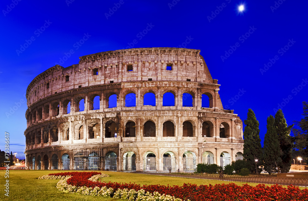 Rome Coliseum Flowers Rise