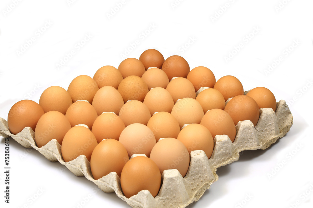 A Tray of Eggs on a White Background A Tray of Eggs on a White Background