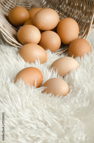 Close up eggs in old basket on white wool