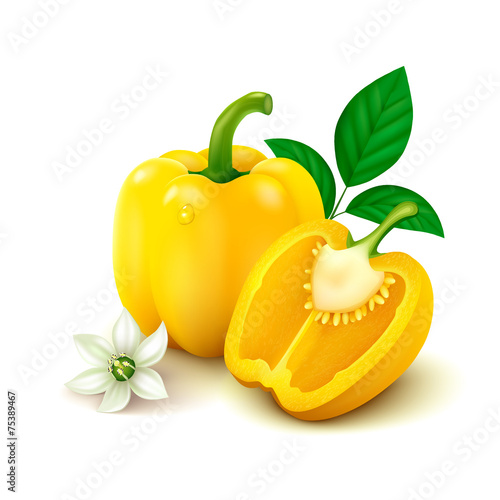 Yellow bell pepper (bulgarian pepper) on white background