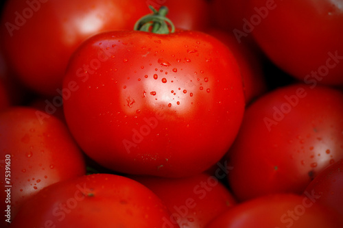 Tomatoes photo