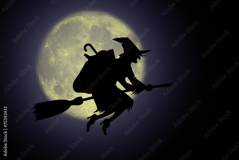 Fototapeta premium Befana 2015_007