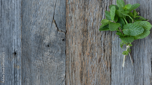 Mint Leaves on Wood Background
