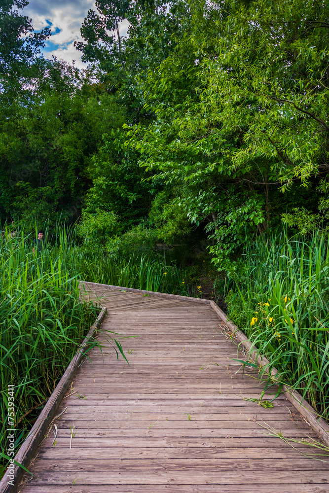 Fototapeta premium Boardwalk trail along the pond at Patterson Park, Baltimore, Mar