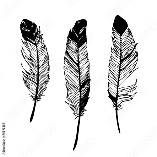 Realistic detailed feathers set, hand drawn vector illustration, black ink graphic isolated on white . Art decorative element for prints, cards, pattern, tattoo design.
