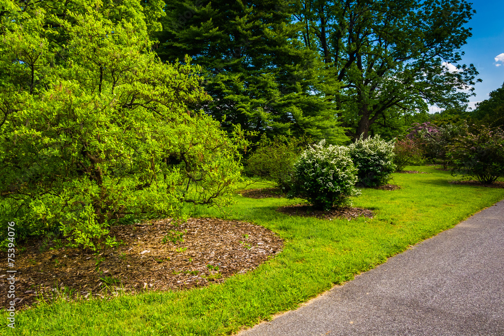Bushes and trees along a path at Cylburn Arboretum, Baltimore, M