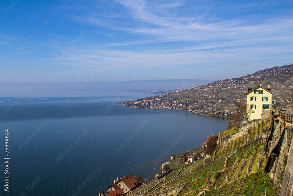 Vineyards of the Lavaux region over lake Geneva