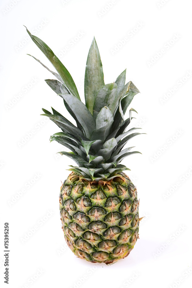 Obraz premium Ananas isoliert auf weißem Hintergrund
