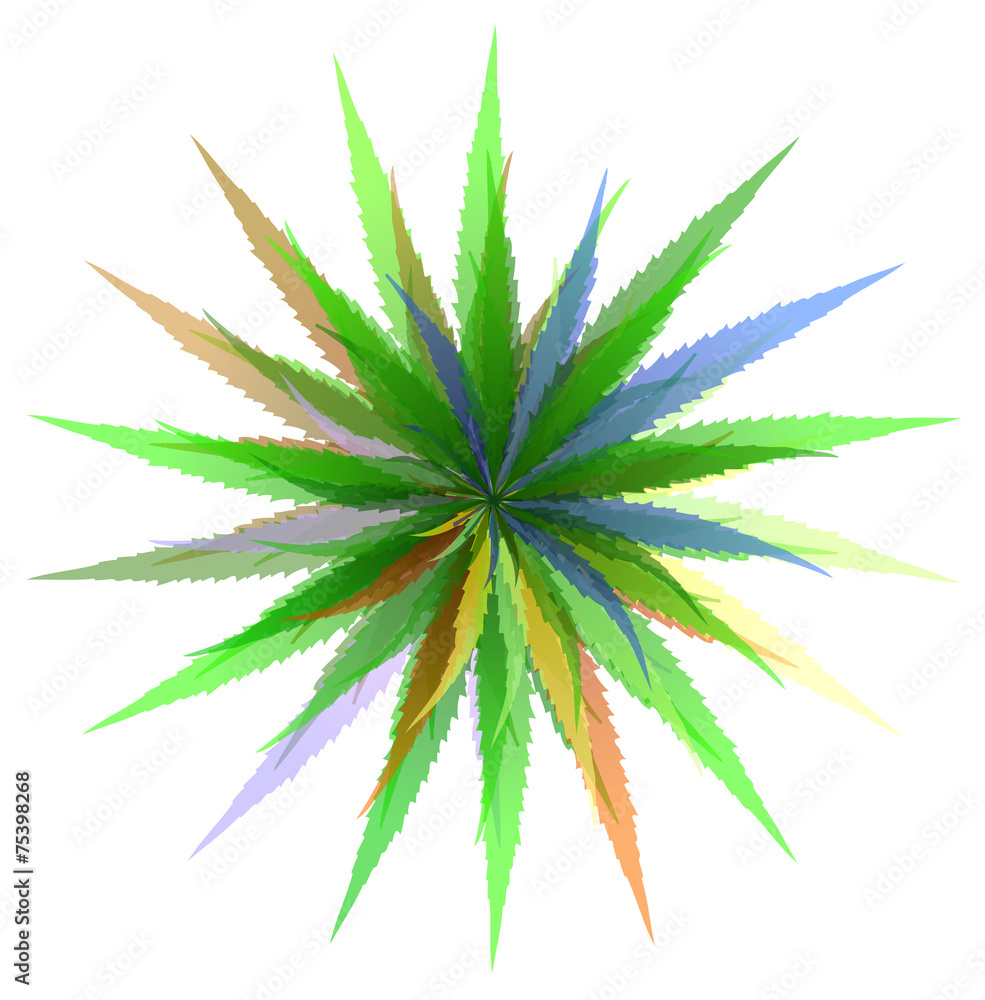 Fototapeta premium leaves of grass