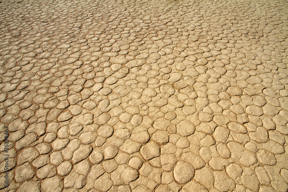 Dry cracked mud Dry cracked mud