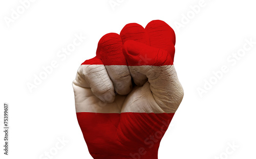 Quadro su tela flag fist