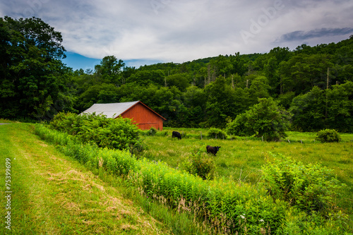 Red barn along the Blue Ridge Parkway, near Blowing Rock, North