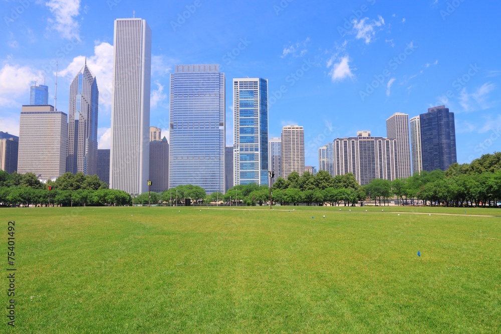 Chicago skyline and park