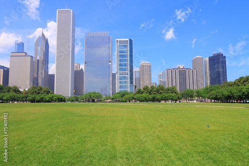 Chicago skyline and park