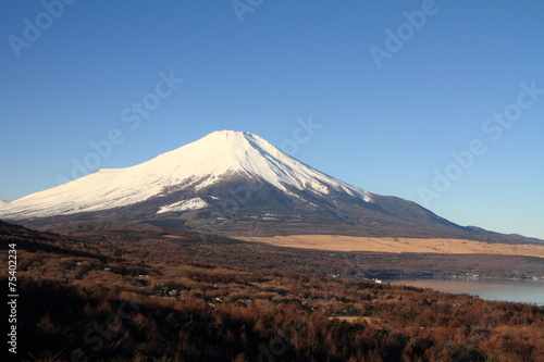 パノラマ台からの富士山と山中湖