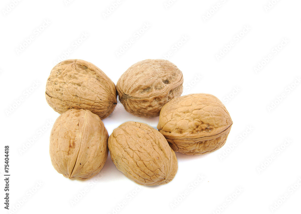 Close up of Five nuts Close up of Five nuts