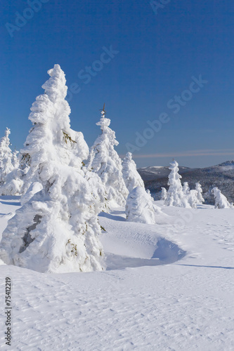 Winter view of snow covered mountain and trees © frank11