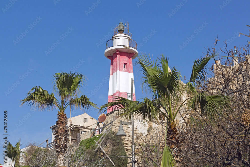 Walking on the Mediterranean coast of Israel. Walking on the Mediterranean coast of Israel.