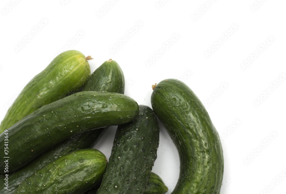 Fresh green cucumber. Photo. Fresh green cucumber. Photo.
