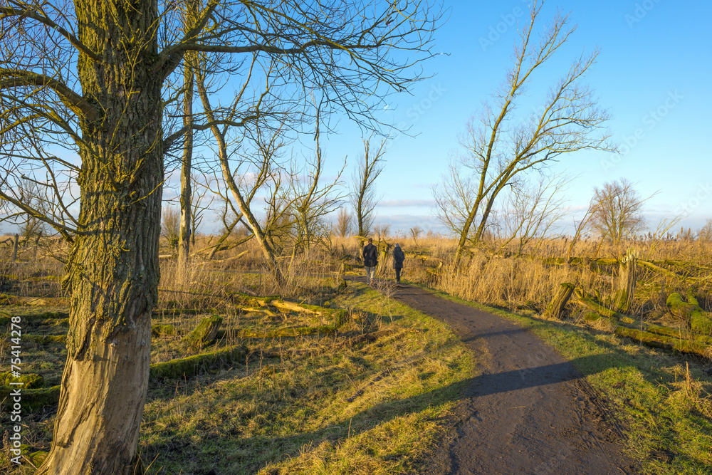 Fototapeta premium People walking in nature in winter