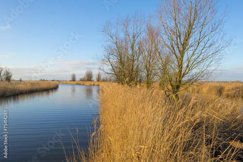 The shore of a river in winter