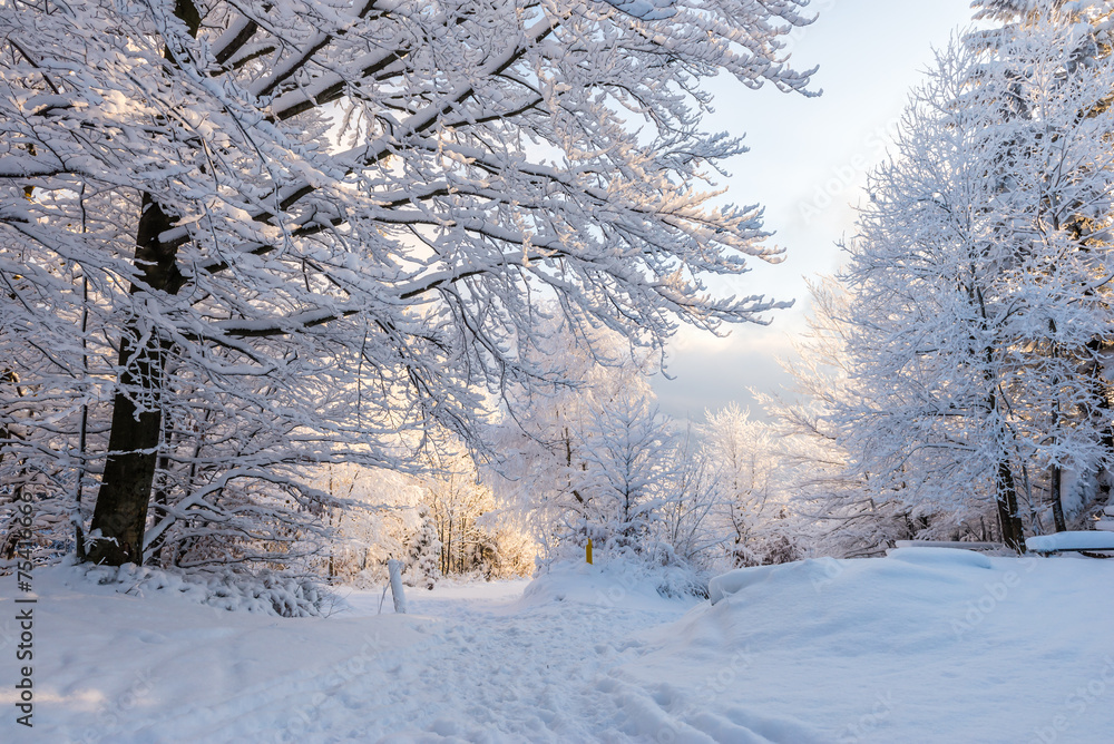Piękna zima w polskich górach - Beskidy - obrazy, fototapety, plakaty 