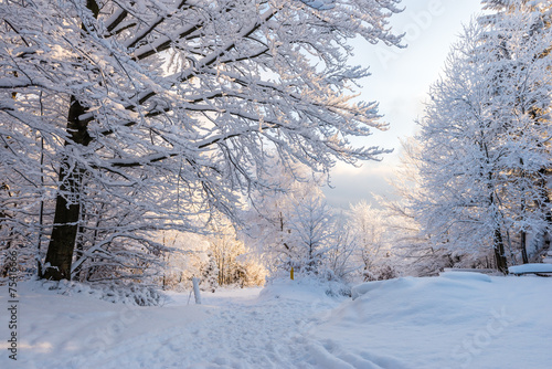 Piękna zima w polskich górach - Beskidy © kabat