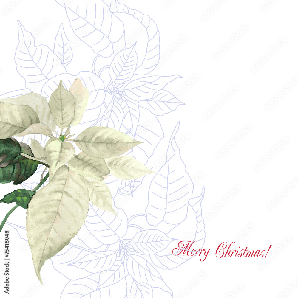 Watercolor background  with poinsettia flowers2-02