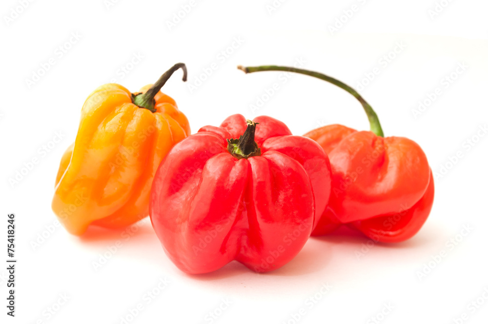 piments antillais sur fond blanc