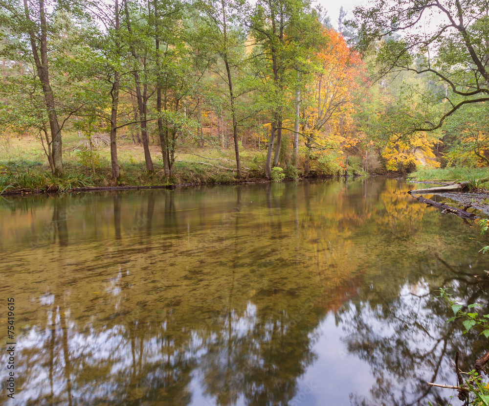 river in autumn forest. Nature composition. river in autumn forest. Nature composition.