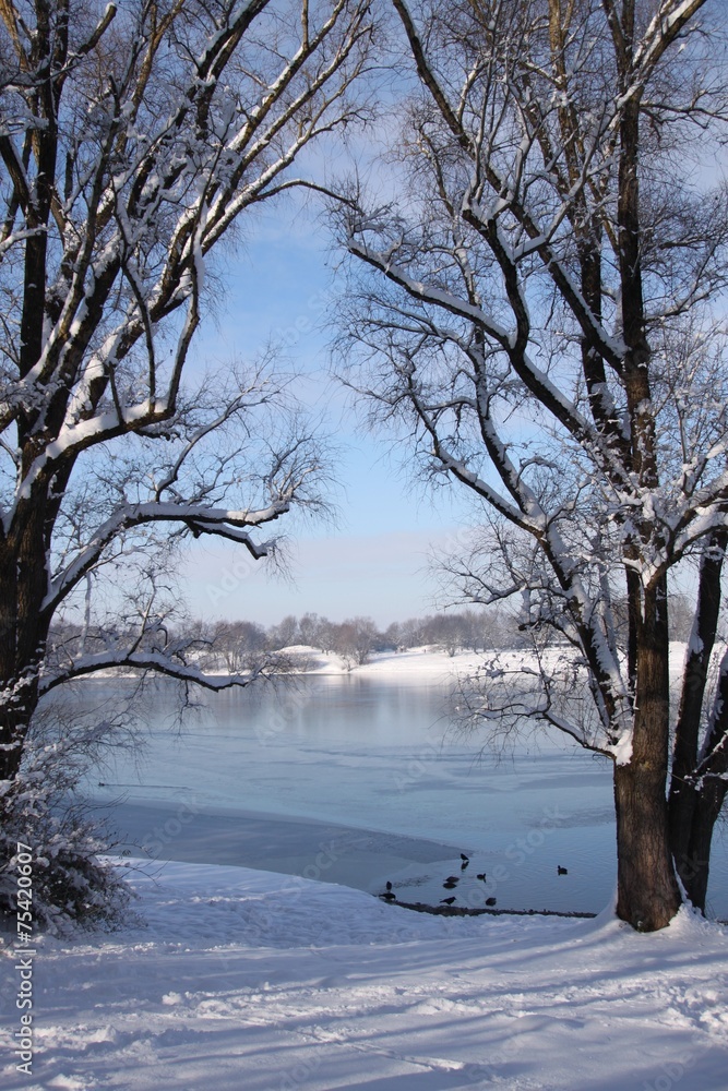 Winterlandschaft am See - Hochformat Photos | Adobe Stock