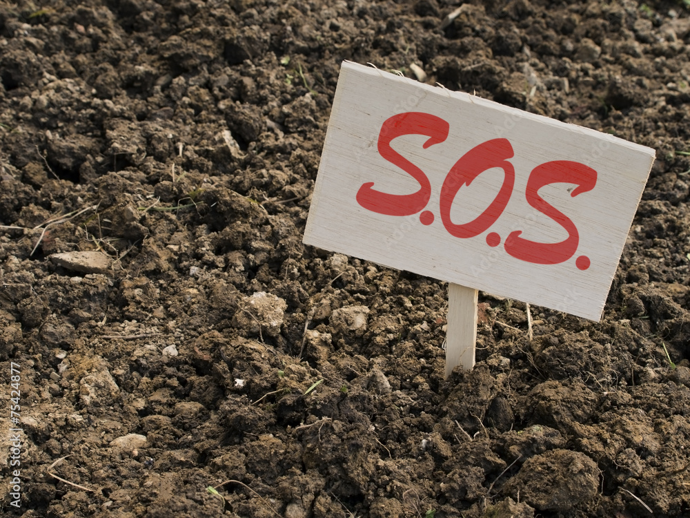 Garden poor clay soil sos, problem. Gardening. Garden poor clay soil sos, problem. Gardening.