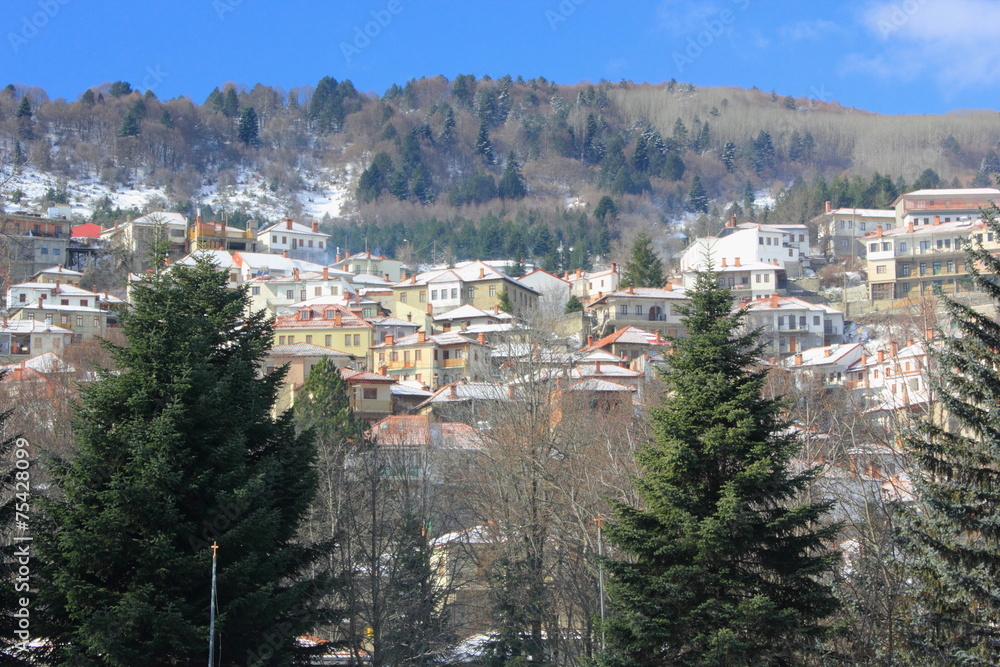 Obraz premium metsovo Mountainside alp Village with snow and trees