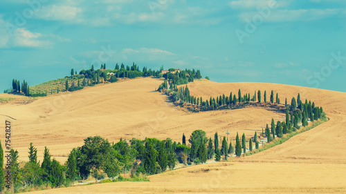 The old cypress road to the farm between fields in Tuscany, Ital