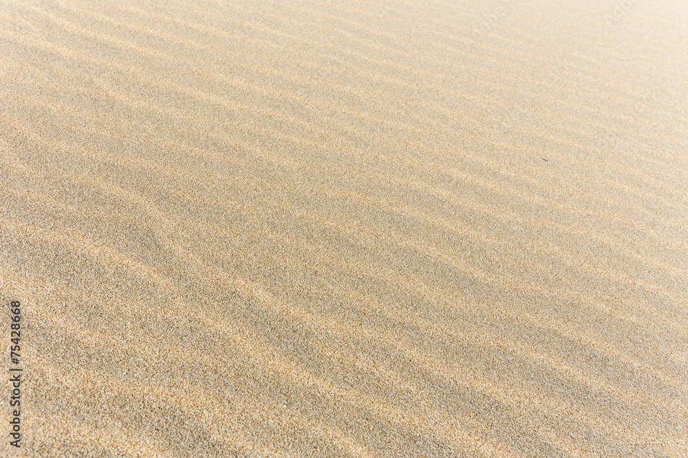 Desert Desert