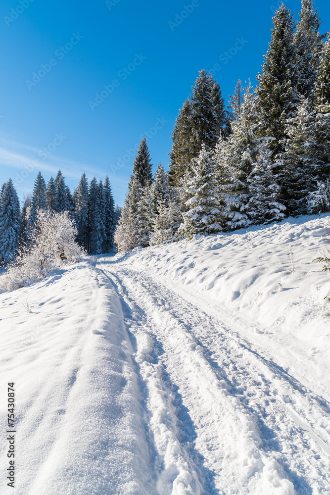 Obraz premium Winter path in Beskid Sadecki Mountains on sunny day, Poland