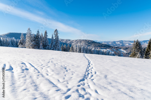 Winter landscape on sunny day, Beskid Sadecki Mountains, Poland © pkazmierczak