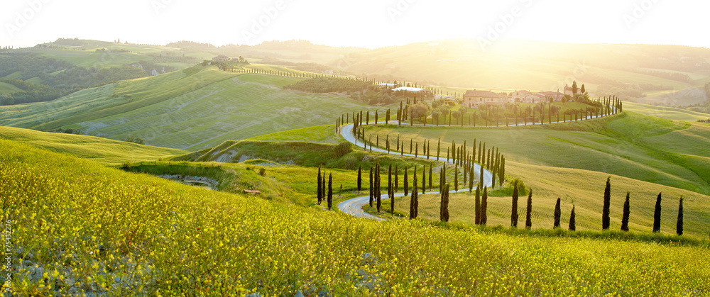 Fototapeta premium Słoneczne pola w Toskanii we Włoszech
